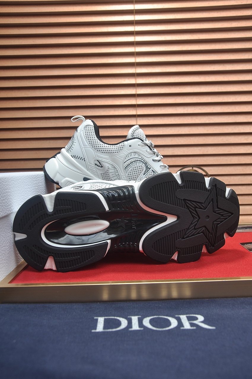 Dior Silver, White & Black Low-Top Sneakers